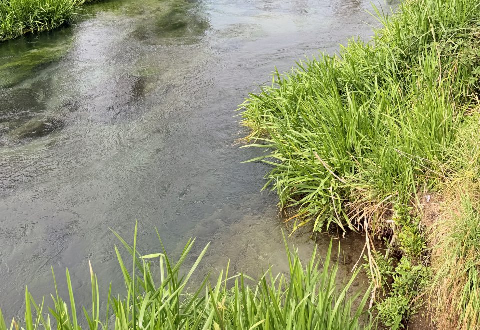 Tirau, Te Waihou, and Huka Falls