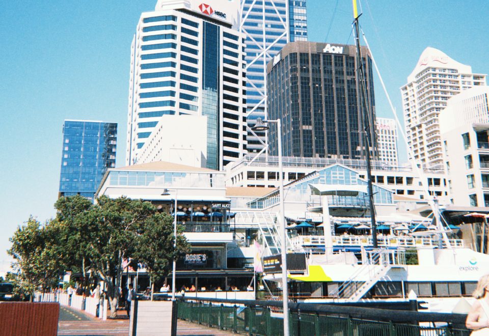 Viaduct Harbour and Making Ramen Together